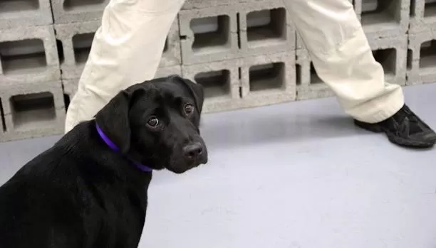 مدار الساعة,أخبار خفيفة ومنوعة