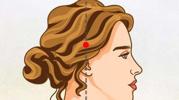 مدار الساعة,أخبار الأسرة