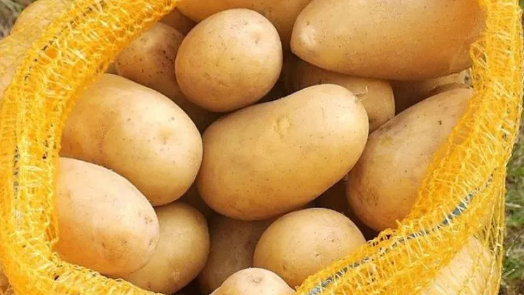 مدار الساعة,أخبار اقتصادية,وزير الزراعة,وزارة الزراعة