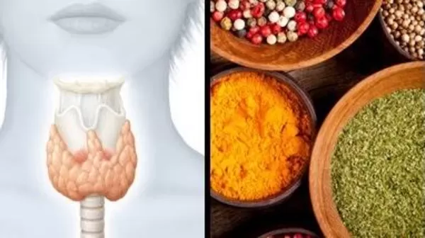 مدار الساعة,أخبار خفيفة ومنوعة