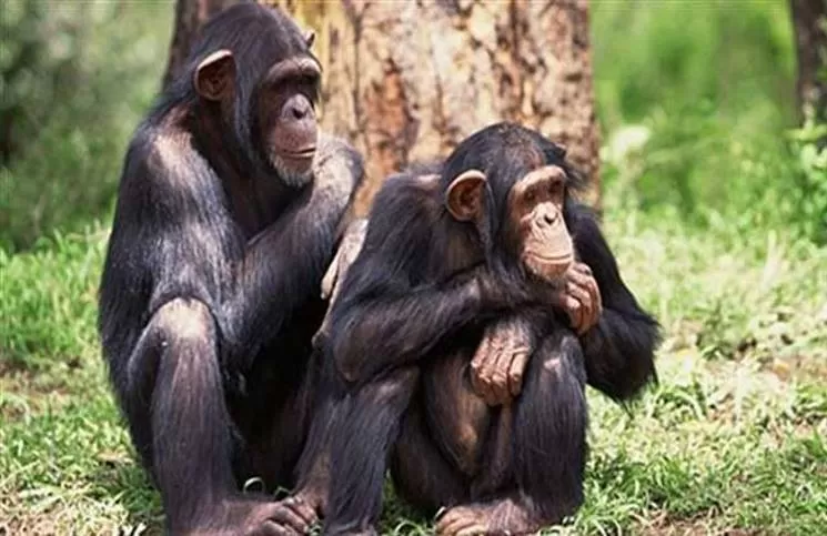 مدار الساعة,أخبار خفيفة ومنوعة