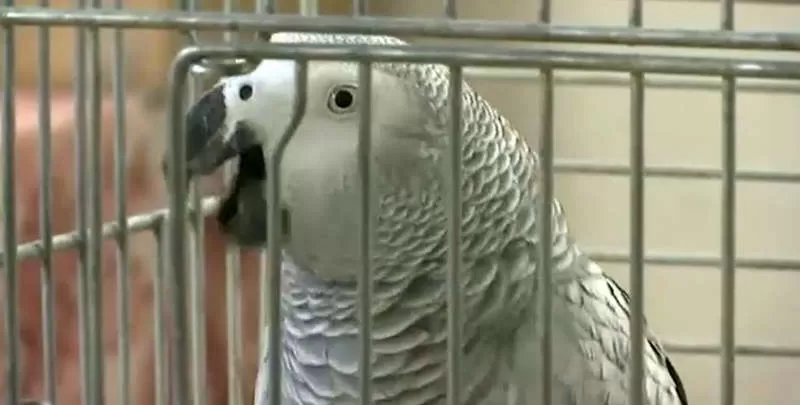 مدار الساعة,أخبار خفيفة ومنوعة