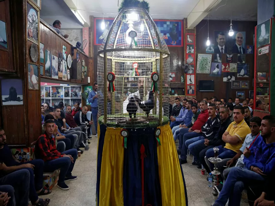 مدار الساعة,أخبار الأردن,اخبار الاردن