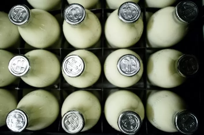 مدار الساعة,أخبار خفيفة ومنوعة