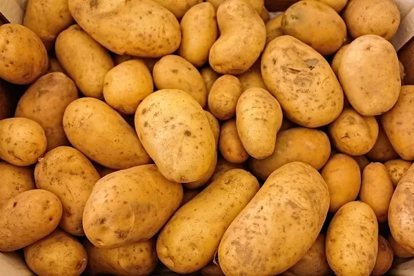 مدار الساعة,أخبار الأردن,اخبار الاردن