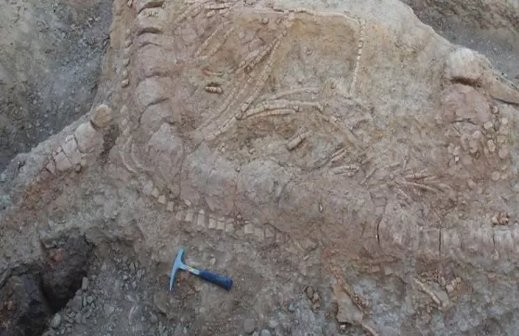 مدار الساعة,أخبار خفيفة ومنوعة