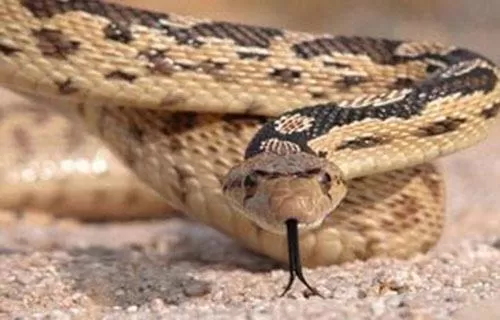 مدار الساعة,أخبار خفيفة ومنوعة