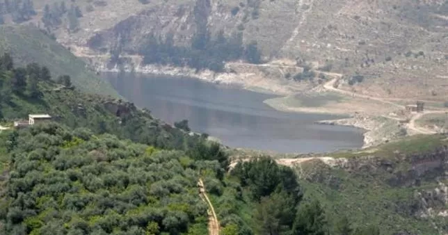 مدار الساعة,أخبار الأردن,اخبار الاردن,وزير المياه والري,مجلس الأعيان