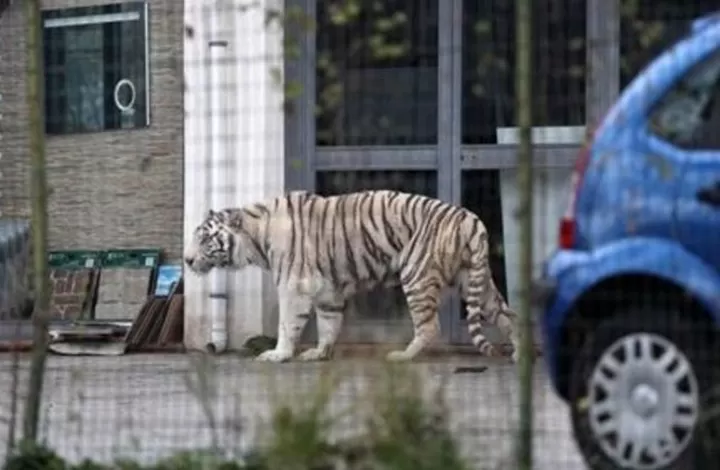 مدار الساعة,أخبار خفيفة ومنوعة,مواقع التواصل الاجتماعي