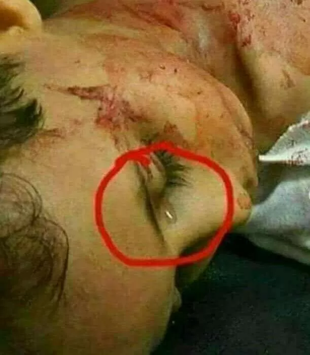 مدار الساعة,أخبار خفيفة ومنوعة