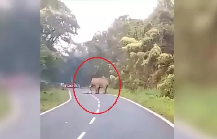 مدار الساعة,Video,فيديو,أخبار خفيفة ومنوعة