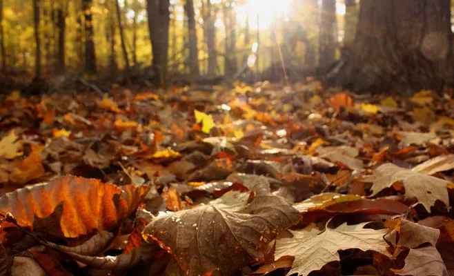 مدار الساعة,الطقس في الأردن اليوم,طقس الأردن,طقس العرب,طقس العرب الاردن,درجات الحرارة العظمى والصغرى,درجات الحرارة,البحر الميت