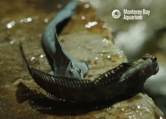 مدار الساعة,Video,فيديو,أخبار خفيفة ومنوعة