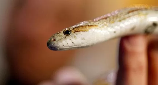 مدار الساعة,Video,فيديو,أخبار خفيفة ومنوعة,مواقع التواصل الاجتماعي