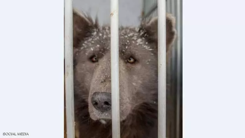 مدار الساعة,أخبار خفيفة ومنوعة,وسائل التواصل الاجتماعي