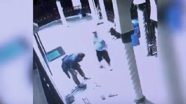 مدار الساعة,Video,فيديو,أخبار خفيفة ومنوعة