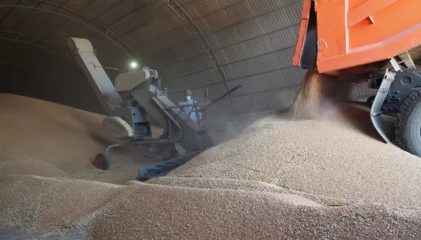 مدار الساعة,أخبار اقتصادية,وزارة الصناعة والتجارة,وزارة الصناعة