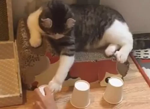 مدار الساعة,أخبار خفيفة ومنوعة