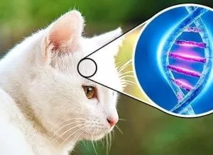 مدار الساعة,أخبار خفيفة ومنوعة