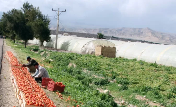 مدار الساعة,أخبار الأردن,اخبار الاردن
