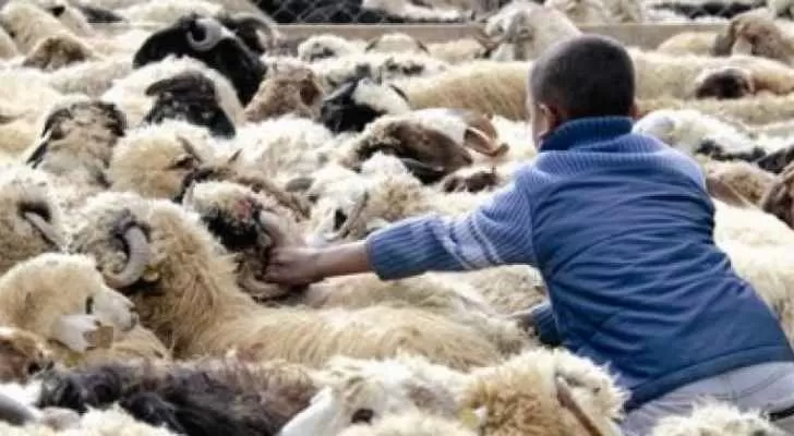 مدار الساعة,أخبار الأردن,اخبار الاردن