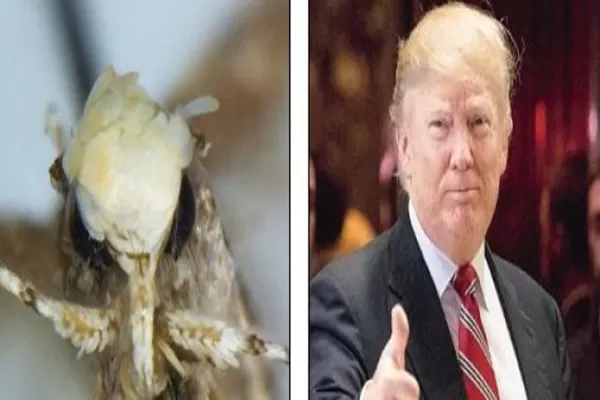 مدار الساعة,أخبار خفيفة ومنوعة