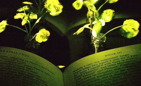 مدار الساعة,أخبار خفيفة ومنوعة