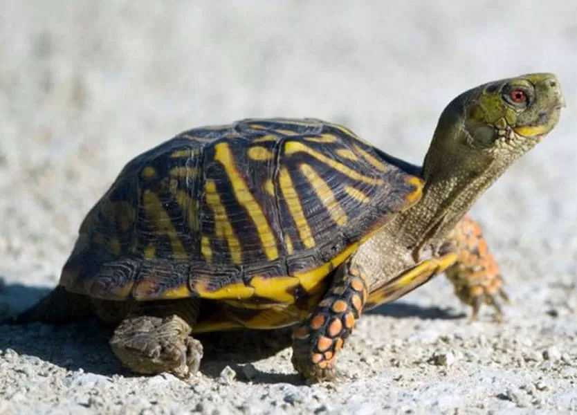 مدار الساعة,أخبار خفيفة ومنوعة,وزارة الصحة