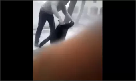 مدار الساعة,Video,فيديو,أخبار الأردن,اخبار الاردن,مواقع التواصل الاجتماعي