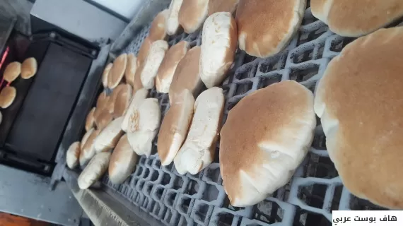 مدار الساعة,أخبار خفيفة ومنوعة,الضفة الغربية,الذكاء الاصطناعي