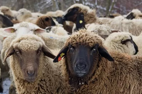 مدار الساعة,أخبار اقتصادية