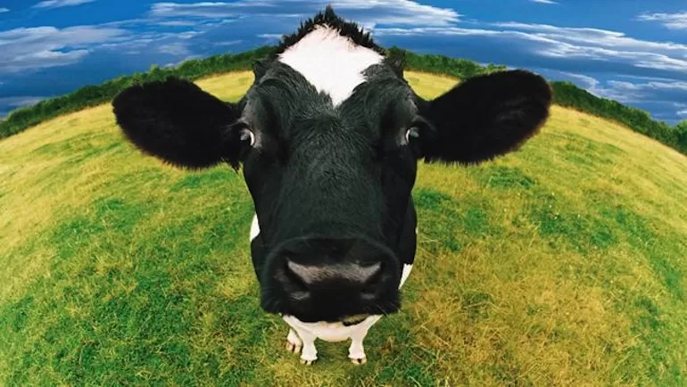 مدار الساعة,أخبار خفيفة ومنوعة