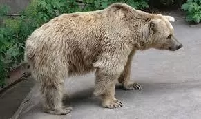 مدار الساعة,Video,فيديو,أخبار خفيفة ومنوعة