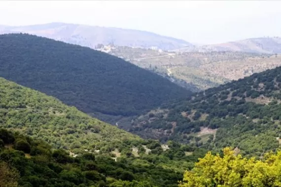 مدار الساعة,الطقس في الأردن اليوم,طقس الأردن,طقس العرب,طقس العرب الاردن,درجات الحرارة,البحر الميت