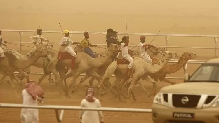 مدار الساعة,أخبار خفيفة ومنوعة,ولي العهد,الملك سلمان