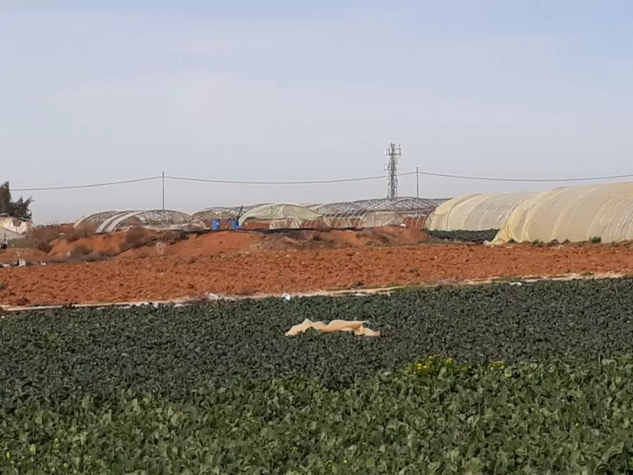 مدار الساعة,أخبار الأردن,اخبار الاردن,وزارة المياه والري,سلطة المياه,مديرية الأمن العام,وزارة الداخلية,وزارة المياه,الأمن العام,قوات الدرك,المجلس القضائي