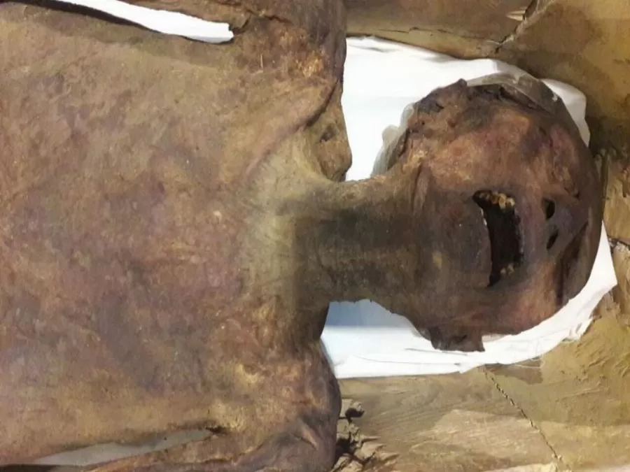 مدار الساعة,أخبار خفيفة ومنوعة