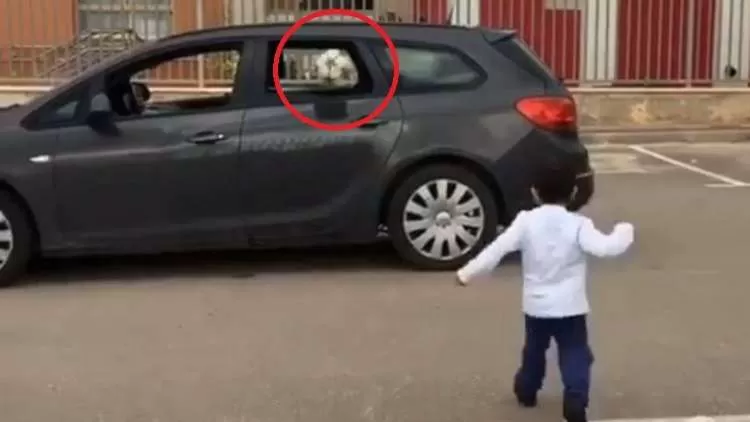 مدار الساعة,Video,فيديو,أخبار رياضية