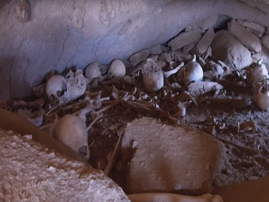 مدار الساعة,Video,فيديو,أخبار خفيفة ومنوعة