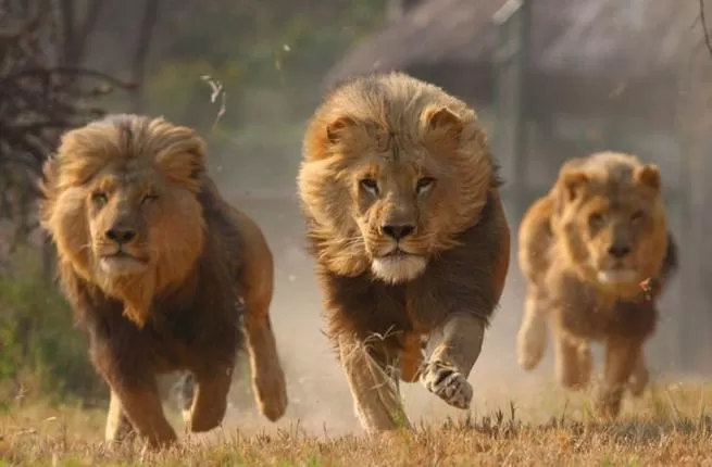 مدار الساعة,أخبار خفيفة ومنوعة
