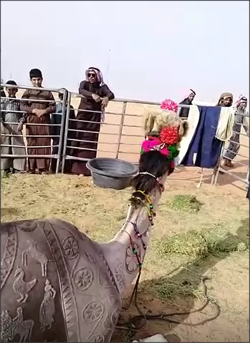 مدار الساعة,أخبار خفيفة ومنوعة