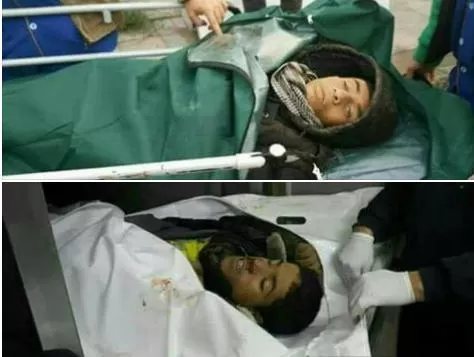 مدار الساعة,أخبار عربية ودولية,وزارة الصحة,قطاع غزة