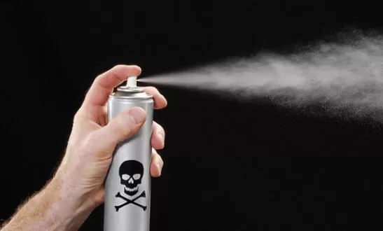 مدار الساعة,أخبار خفيفة ومنوعة