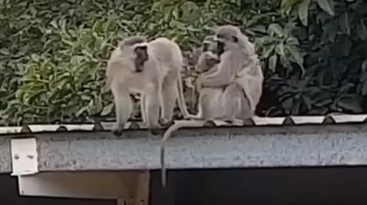 مدار الساعة,أخبار خفيفة ومنوعة