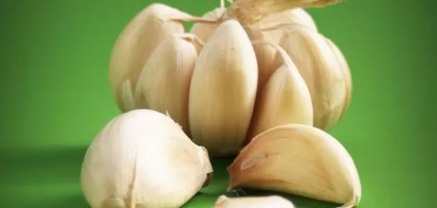 مدار الساعة,أخبار خفيفة ومنوعة