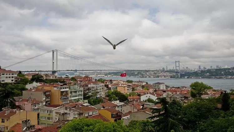 مدار الساعة,أخبار اقتصادية,وزارة الداخلية