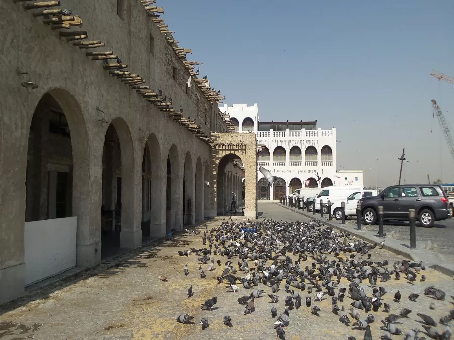 مدار الساعة,مقالات