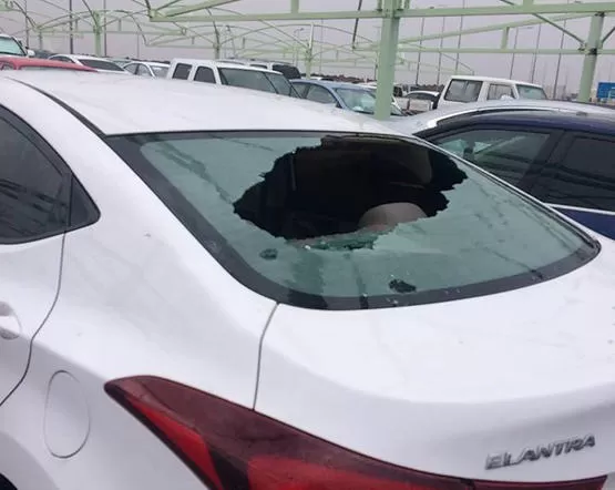 مدار الساعة,Video,فيديو,أخبار خفيفة ومنوعة,الدفاع المدني,المملكة العربية السعودية