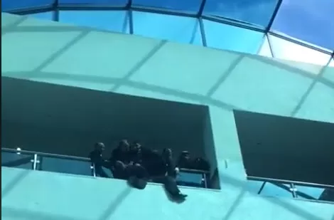 مدار الساعة,Video,فيديو,أخبار الأردن,اخبار الاردن