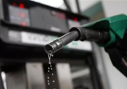 مدار الساعة,أخبار الأردن,اخبار الاردن,حقل الريشة